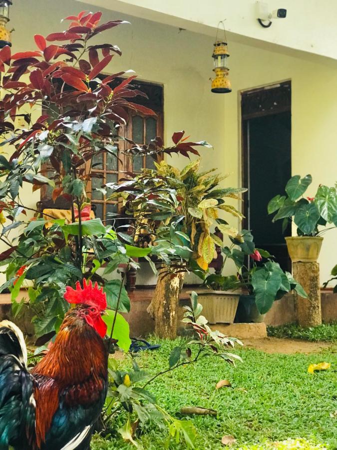 Sigiri Lakshan Home Stay Sigiriya Bagian luar foto