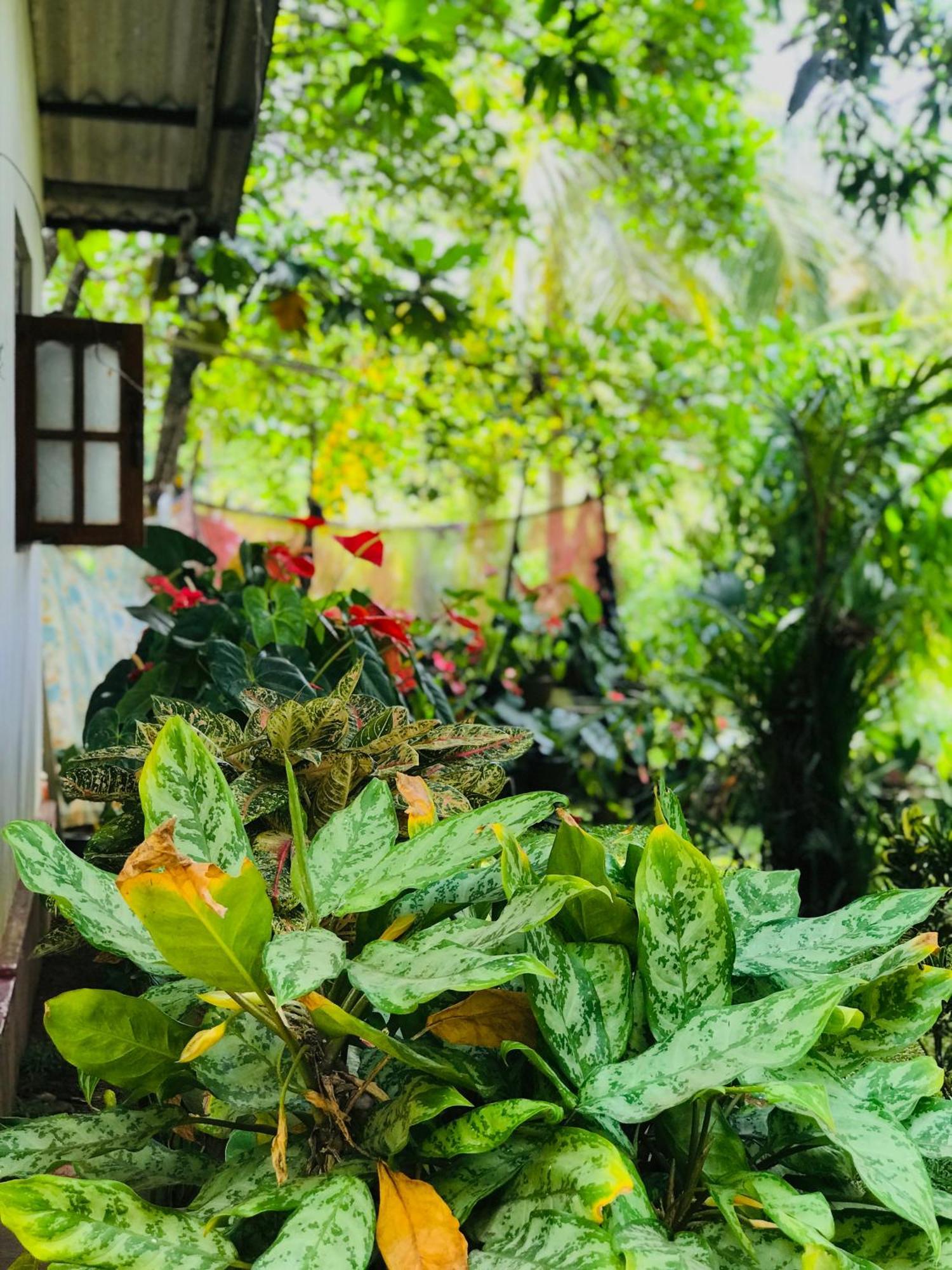 Sigiri Lakshan Home Stay Sigiriya Bagian luar foto
