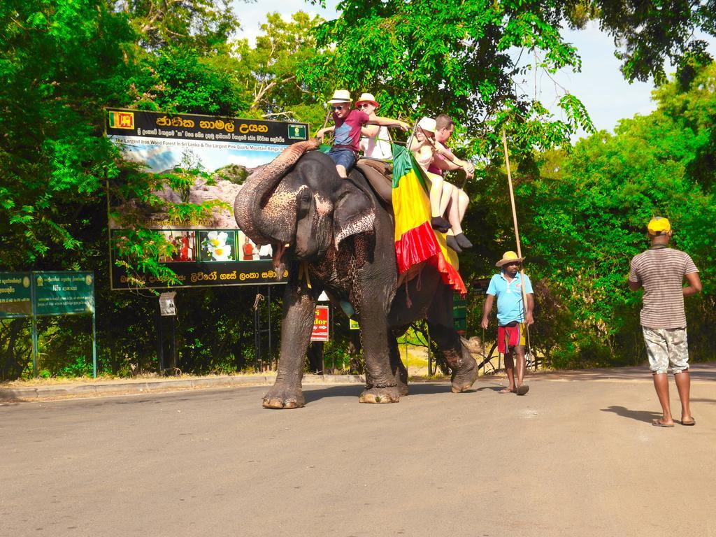 Sigiri Lakshan Home Stay Sigiriya Bagian luar foto