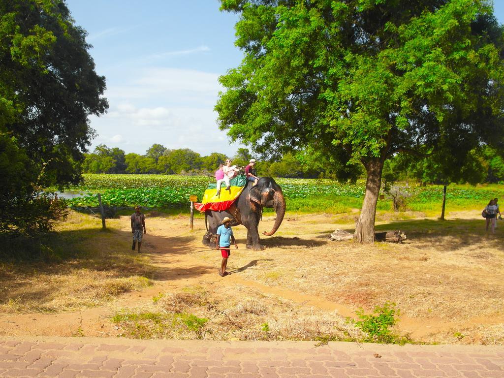 Sigiri Lakshan Home Stay Sigiriya Bagian luar foto